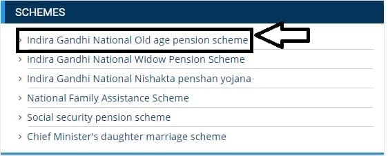 Madhya pradesh Indira Gandhi Vridhavastha Pension Scheme 2020  In Hindi