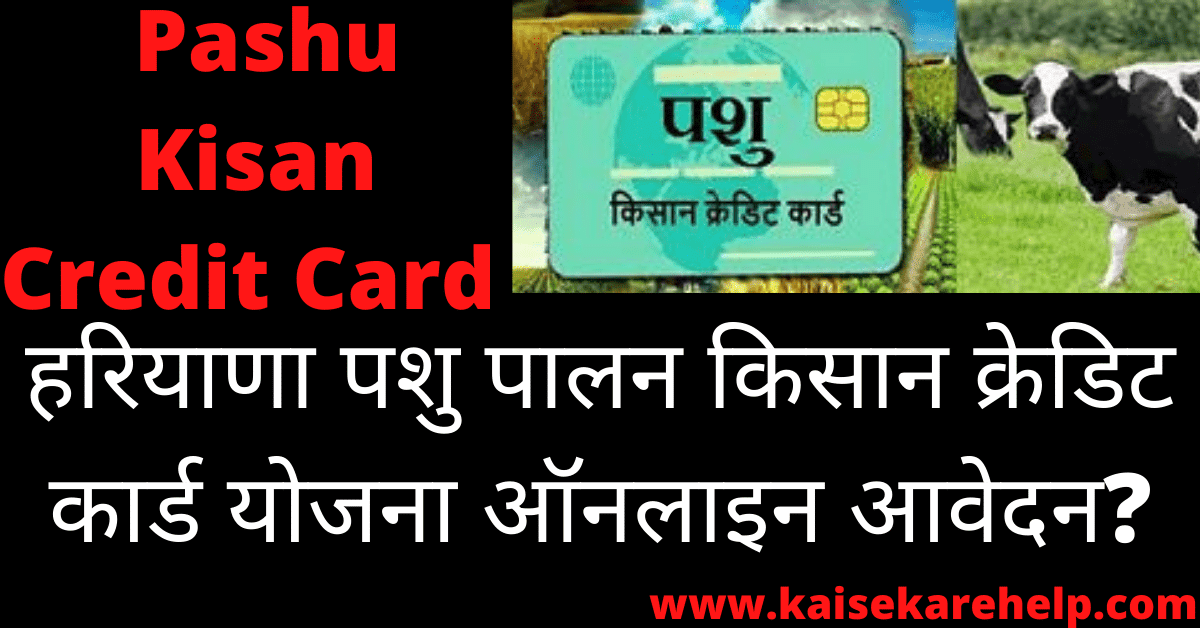 Haryana Pashu Kisan Credit Card Yojana 2020 In Hindi