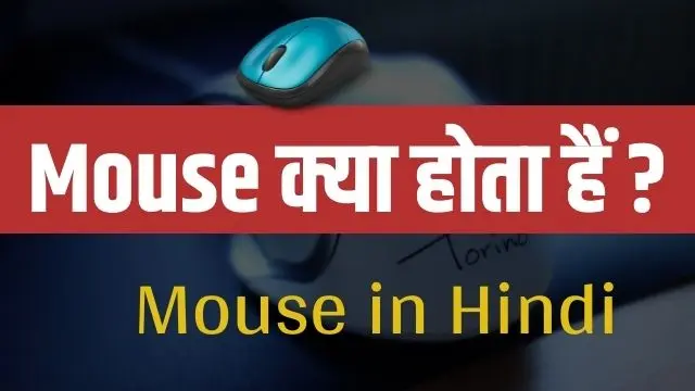 Mouse in Hindi