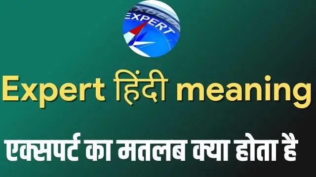 Expert meaning in Hindi