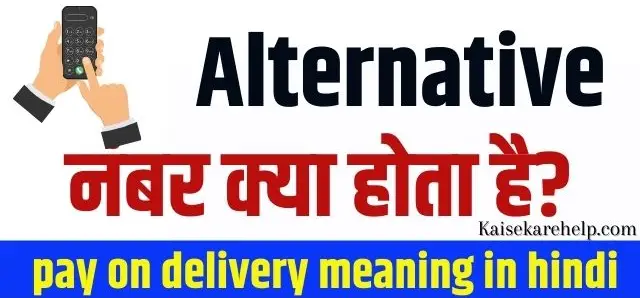 Alternative Number Meaning In Hindi