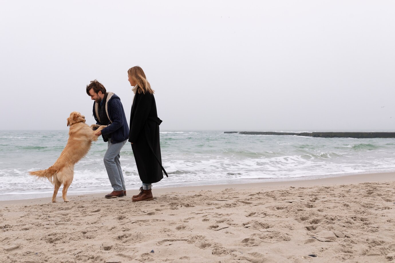 Dog-Friendly Beaches in Massachusetts