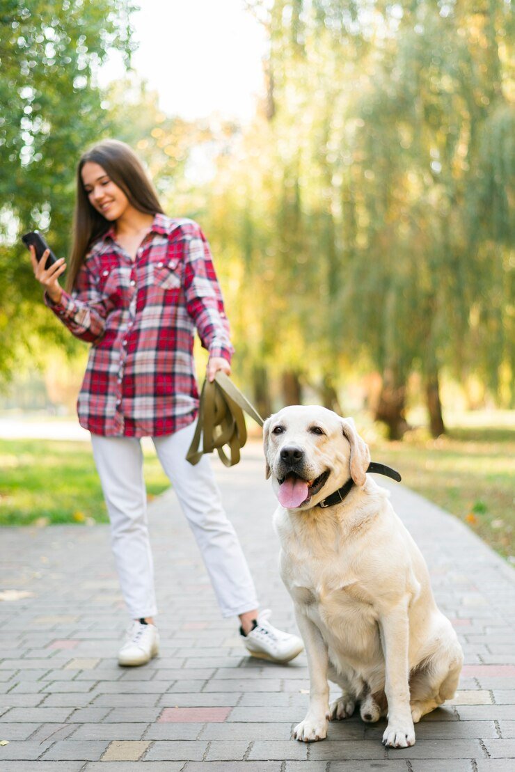 Dog Walking App